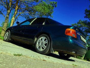 IMG_13211.jpg