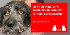 баннер фас.jpg