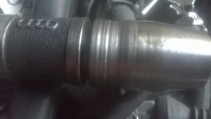WP_20160415_16_00_07_Pro.jpg