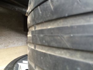 IMG_5218.jpg