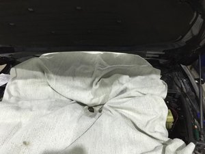 IMG_4957.jpg