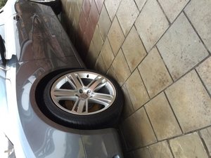 IMG_0631.jpg