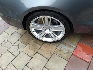 IMG_0633.jpg