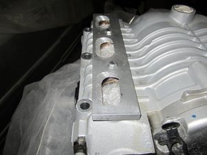 IMG_3215.jpg