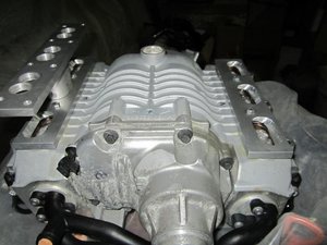 IMG_3218.jpg
