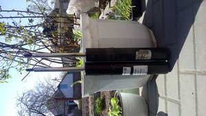 20160425_110431.jpg