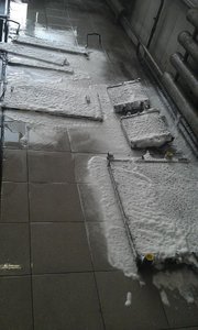 IMAG1171.jpg