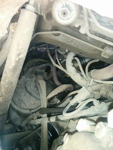 IMG_20160503_130936.jpg