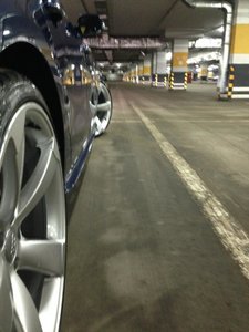 IMG_7795.jpg