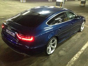 IMG_7807.jpg