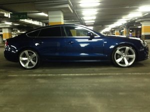 IMG_7786.jpg