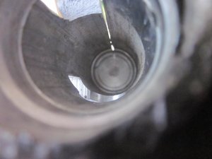 IMG_2537[1].jpg