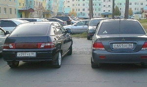 4306.jpg