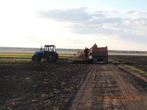 DSCN3511.JPG