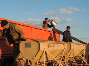 DSCN3517.JPG