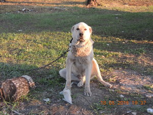 DSCN3521.JPG