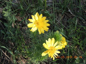 DSCN3523.JPG