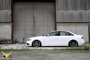 a4-b8-left.jpg