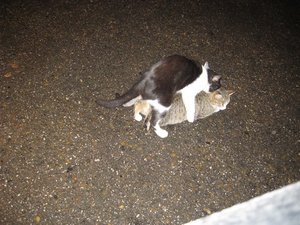 IMG_2947.jpg