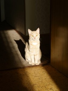 _6300631.JPG