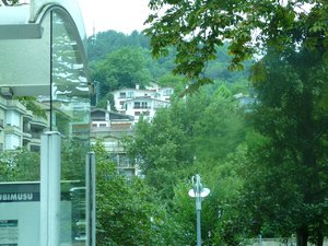 P1010432.jpg