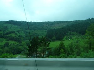 P1010443.jpg