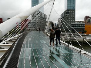 P1010455.jpg