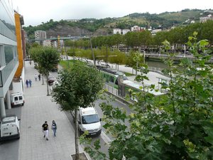 P1010464.jpg