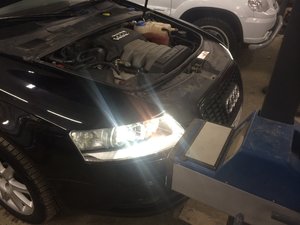 IMG_2466.JPG