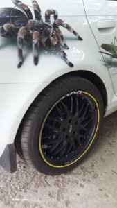 20160603_071729.jpg