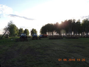 DSCN3526.JPG