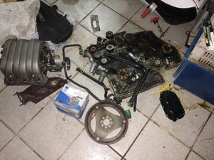 IMG_4041.JPG