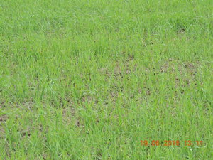 DSCN3837.JPG