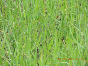 DSCN3836.JPG