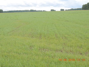 DSCN3835.JPG