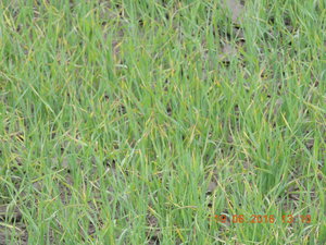 DSCN3834.JPG
