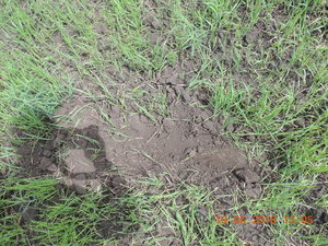 DSCN3831.JPG
