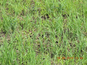 DSCN3830.JPG