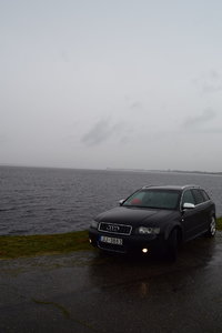 DSC_0091.JPG