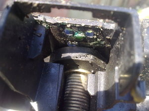g_003.jpg