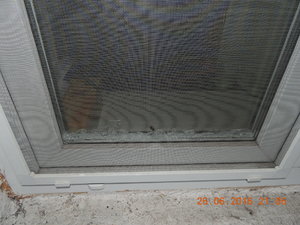 DSCN3894.JPG