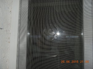 DSCN3893.JPG