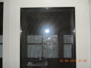 DSCN3890.JPG