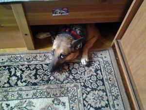 20160703_164542.jpg