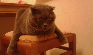 20160303_215103.jpg