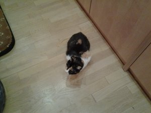 20160628_205135.jpg