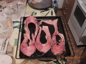 DSCN3839.JPG