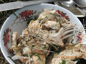 DSCN3861.JPG