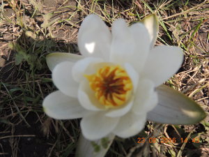 DSCN3870.JPG