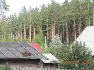 DSCN3889.JPG